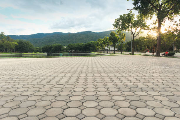 Best Concrete Paver Driveway  in Buffalo, SC