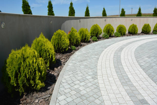 Best Driveway Pavers Near Me  in Buffalo, SC